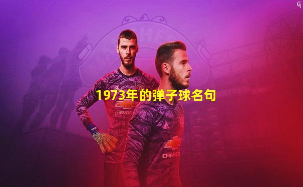 1973年的弹子球名句