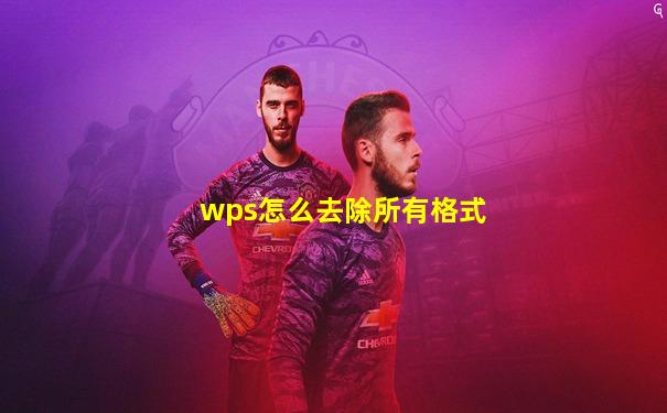 wps怎么去除所有格式