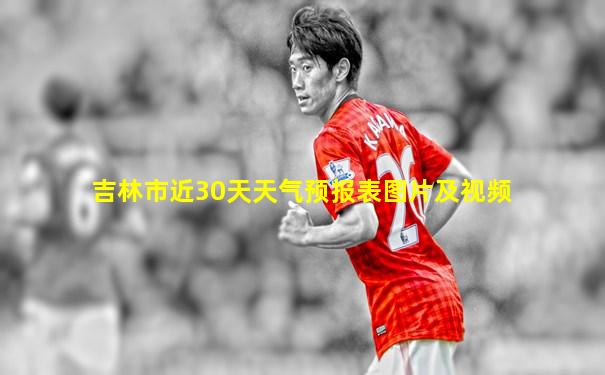 吉林市近30天天气预报表图片及视频