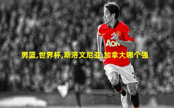 男篮,世界杯,斯洛文尼亚,加拿大哪个强