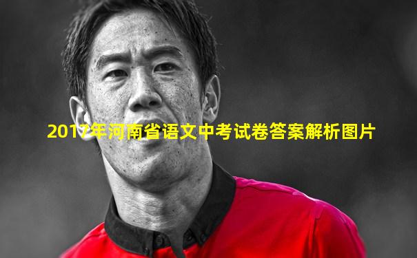 2017年河南省语文中考试卷答案解析图片