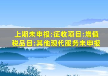 上期未申报:征收项目:增值税品目:其他现代服务未申报