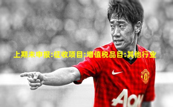 上期未申报:征收项目:增值税品目:其他行业