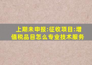 上期未申报:征收项目:增值税品目怎么专业技术服务