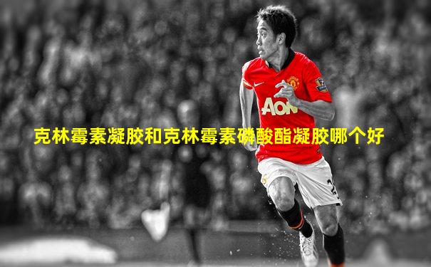 克林霉素凝胶和克林霉素磷酸酯凝胶哪个好