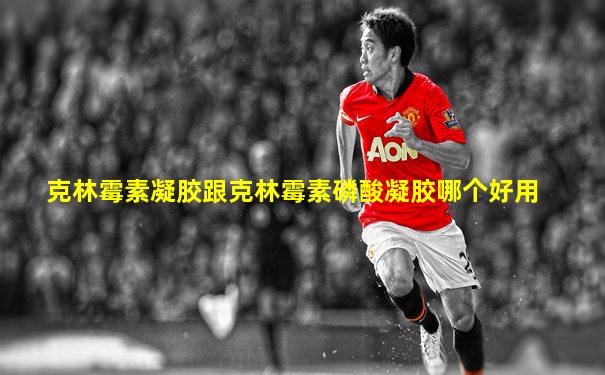 克林霉素凝胶跟克林霉素磷酸凝胶哪个好用