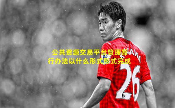 公共资源交易平台管理暂行办法以什么形式形式完成