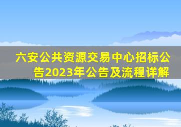 六安公共资源交易中心招标公告2023年公告及流程详解