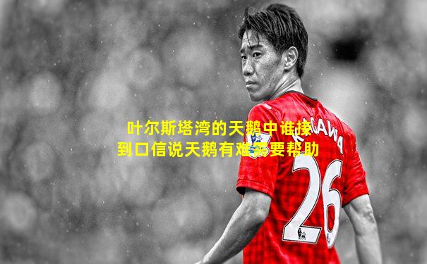 叶尔斯塔湾的天鹅中谁接到口信说天鹅有难需要帮助