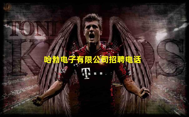 哈勃电子有限公司招聘电话