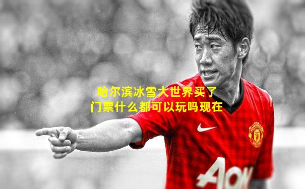 哈尔滨冰雪大世界买了门票什么都可以玩吗现在