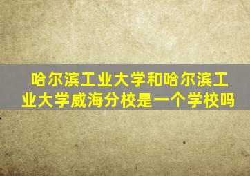 哈尔滨工业大学和哈尔滨工业大学威海分校是一个学校吗