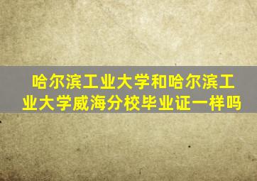 哈尔滨工业大学和哈尔滨工业大学威海分校毕业证一样吗