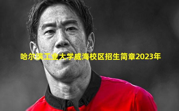 哈尔滨工业大学威海校区招生简章2023年