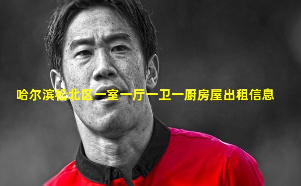 哈尔滨松北区一室一厅一卫一厨房屋出租信息