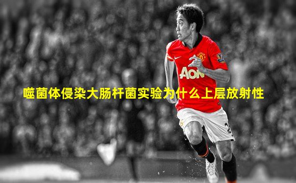 噬菌体侵染大肠杆菌实验为什么上层放射性