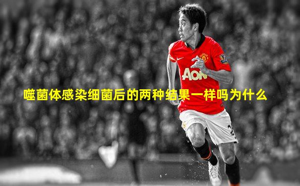 噬菌体感染细菌后的两种结果一样吗为什么