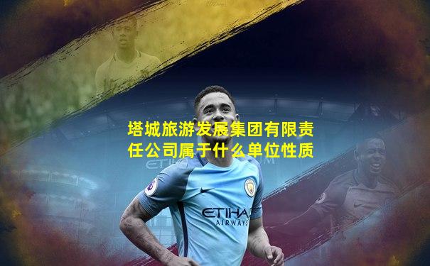 塔城旅游发展集团有限责任公司属于什么单位性质