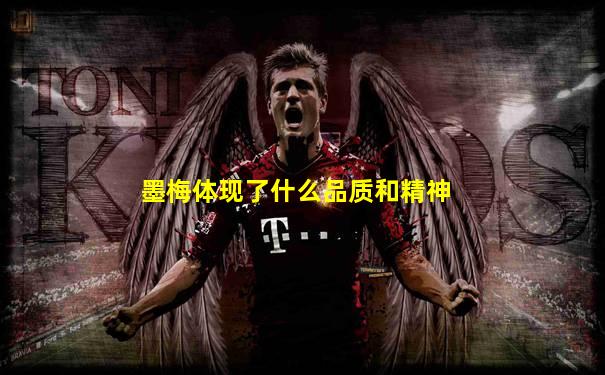 墨梅体现了什么品质和精神