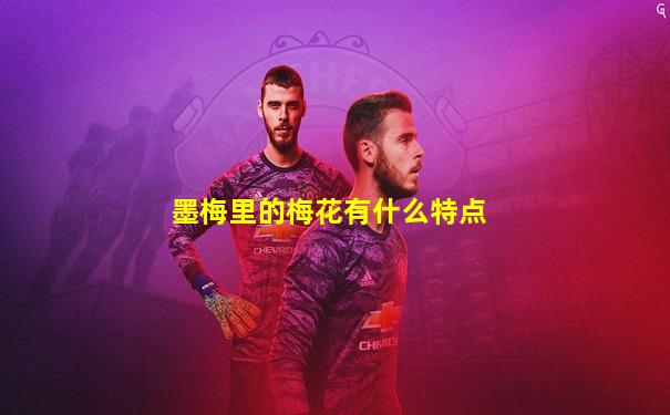 墨梅里的梅花有什么特点