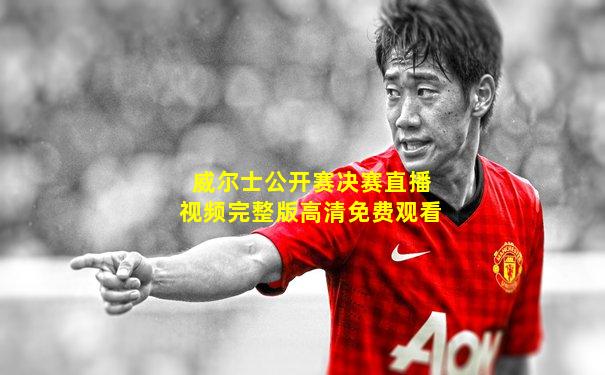 威尔士公开赛决赛直播视频完整版高清免费观看