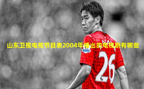 山东卫视电视节目表2004年播出的电视剧有哪些