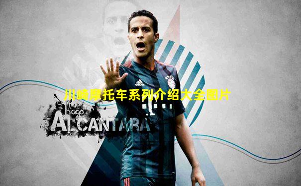 川崎摩托车系列介绍大全图片