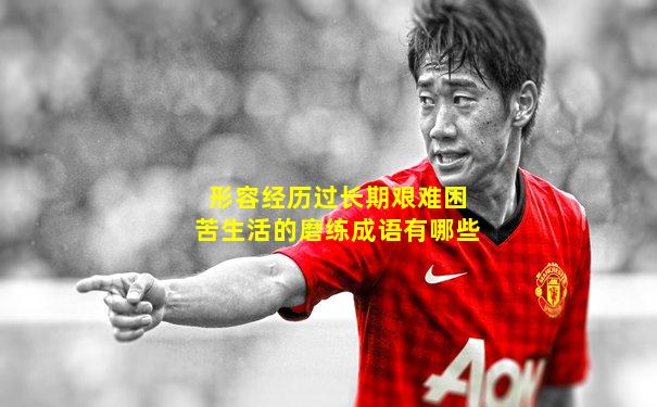 形容经历过长期艰难困苦生活的磨练成语有哪些