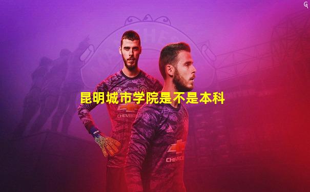 昆明城市学院是不是本科