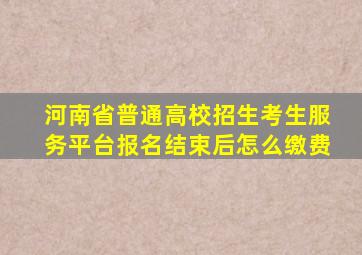 河南省普通高校招生考生服务平台报名结束后怎么缴费
