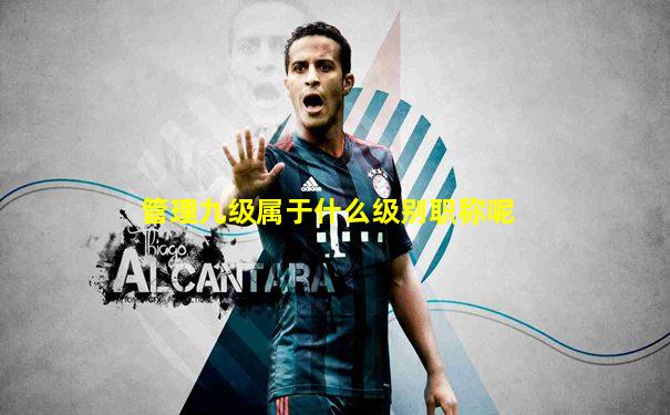 管理九级属于什么级别职称呢
