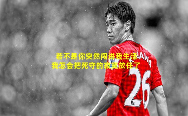 若不是你突然闯进我生活我怎会把死守的寂寞放任了