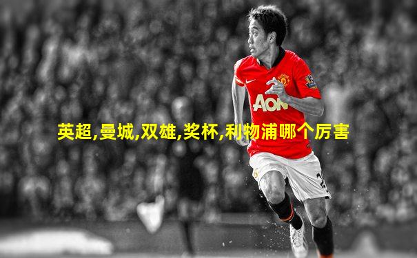 英超,曼城,双雄,奖杯,利物浦哪个厉害