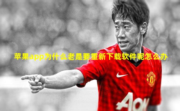 苹果app为什么老是要重新下载软件呢怎么办