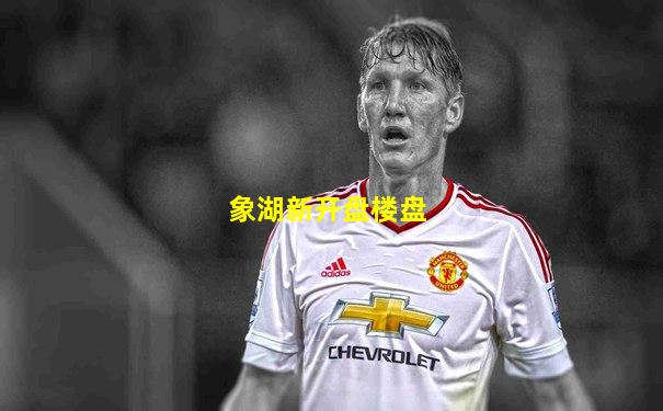 象湖新开盘楼盘