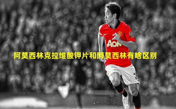 阿莫西林克拉维酸钾片和阿莫西林有啥区别