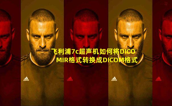 飞利浦7c超声机如何将DICOMIR格式转换成DICOM格式